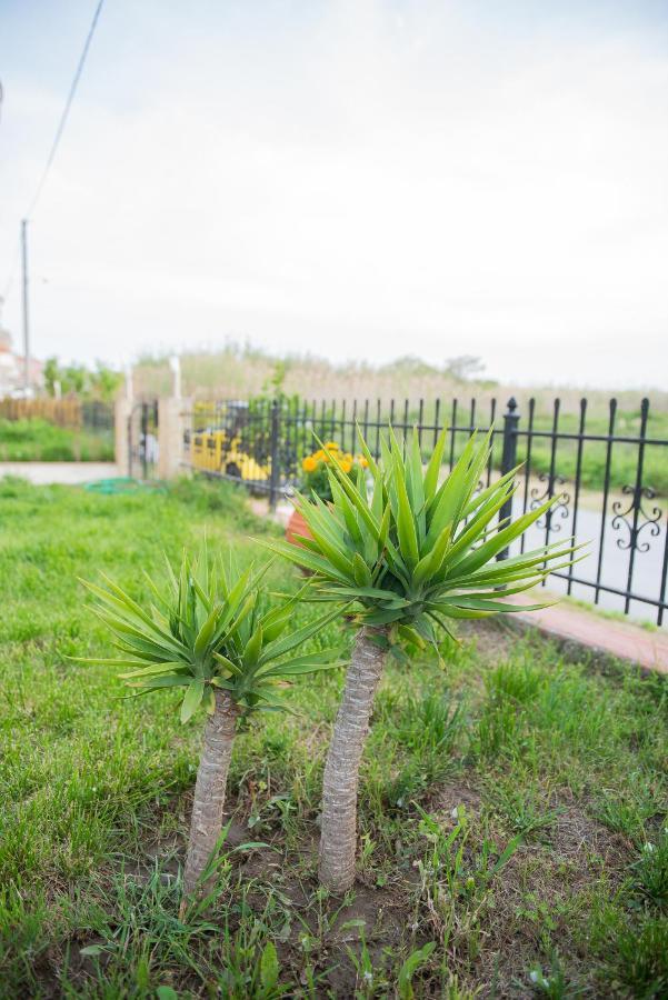 Garden Suite Néa Péramos Εξωτερικό φωτογραφία